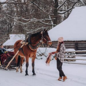 Christmas Tale at the Estonian Open-Air Museum